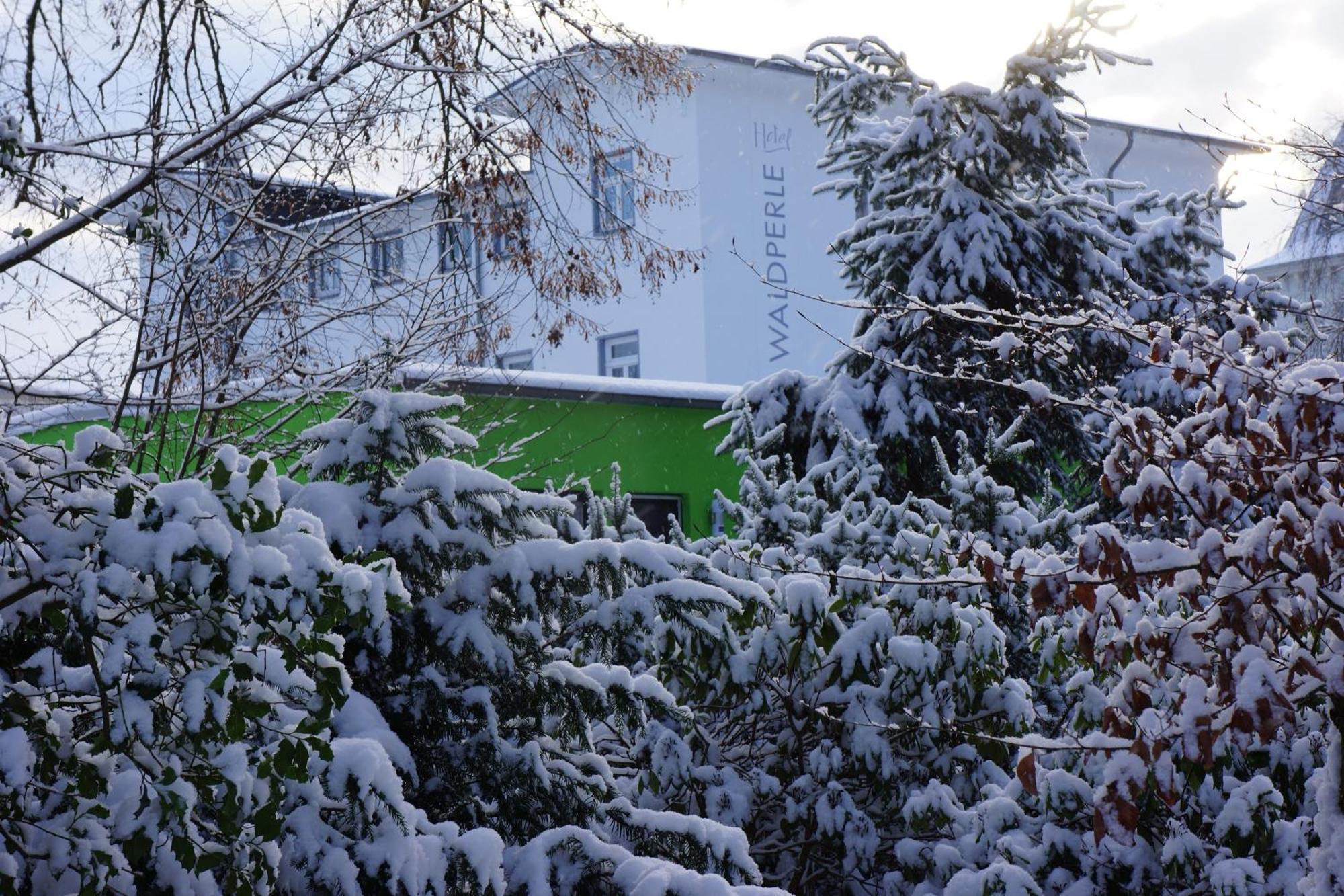 Hotel Waldperle Graal-Mueritz Exterior foto