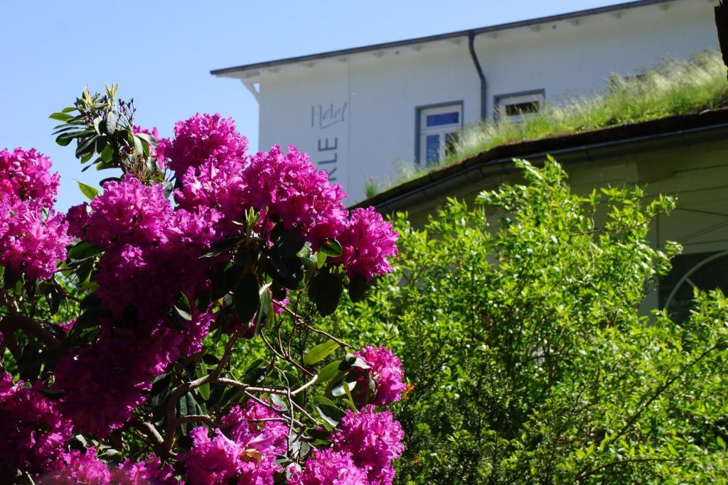 Hotel Waldperle Graal-Mueritz Exterior foto